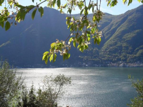 Casa privata con splendida vista lago 
